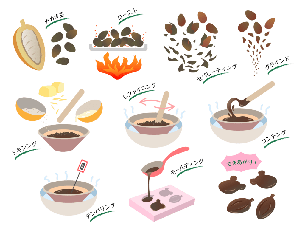 カカオ豆からチョコレートができるまでのイラスト